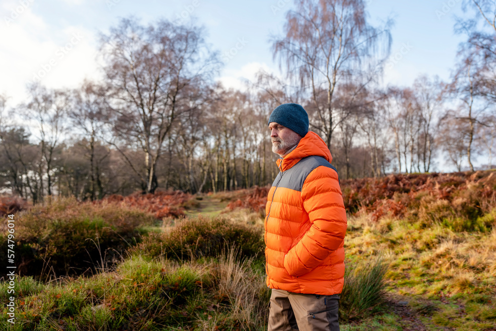 A happy pensioner in orange coat with English bulldogs in forest, going for a walk in Peak District on sunny worm day. Dog training. Free time in retirement. A happy pensioner in orange coat with English bulldogs in forest, going for a walk in Peak District on sunny worm day. Dog training. Free time in retirement.