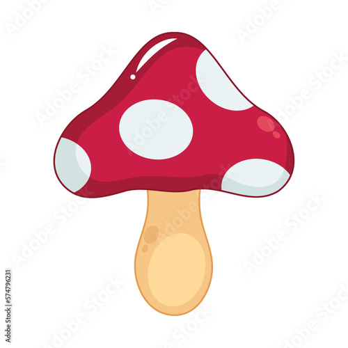 fungus plant garden nature