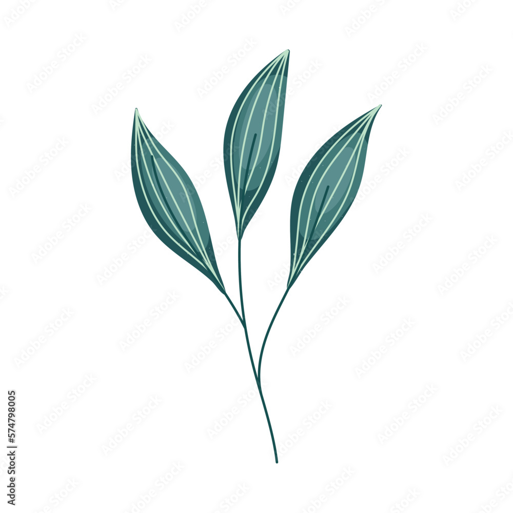 branch with leafs branch with leafs