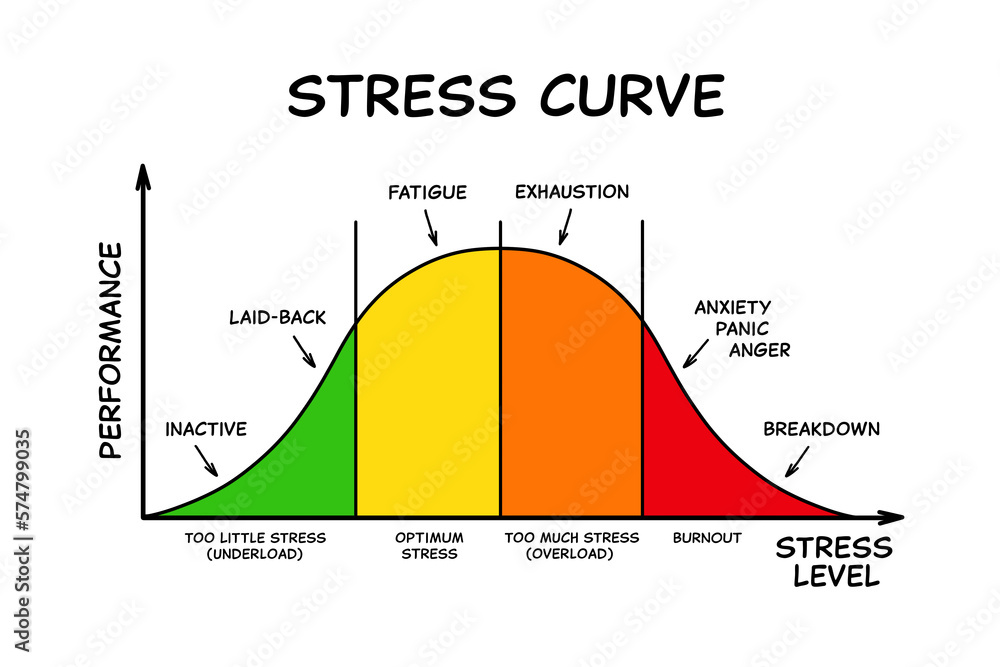 Stress Curve Graph With Different Stages Stock Illustration | Adobe Stock