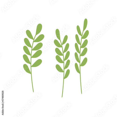 Three green twigs with leaves, the first spring greenery, microgreens on a white background, a simple illustration for the design of postcards, invitations, and advertising.