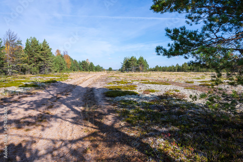 Sandy trail. Storsand, Monäs. Nykarleby/Uusikaarlepyy, Finland