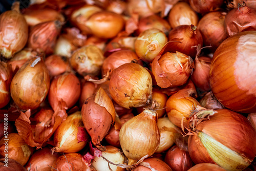 fresh organic onion. Background.
