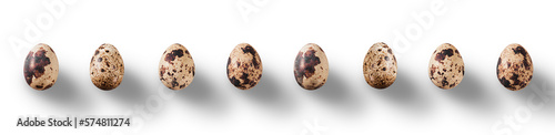 Line with shadows from quail eggs isolated on transparent