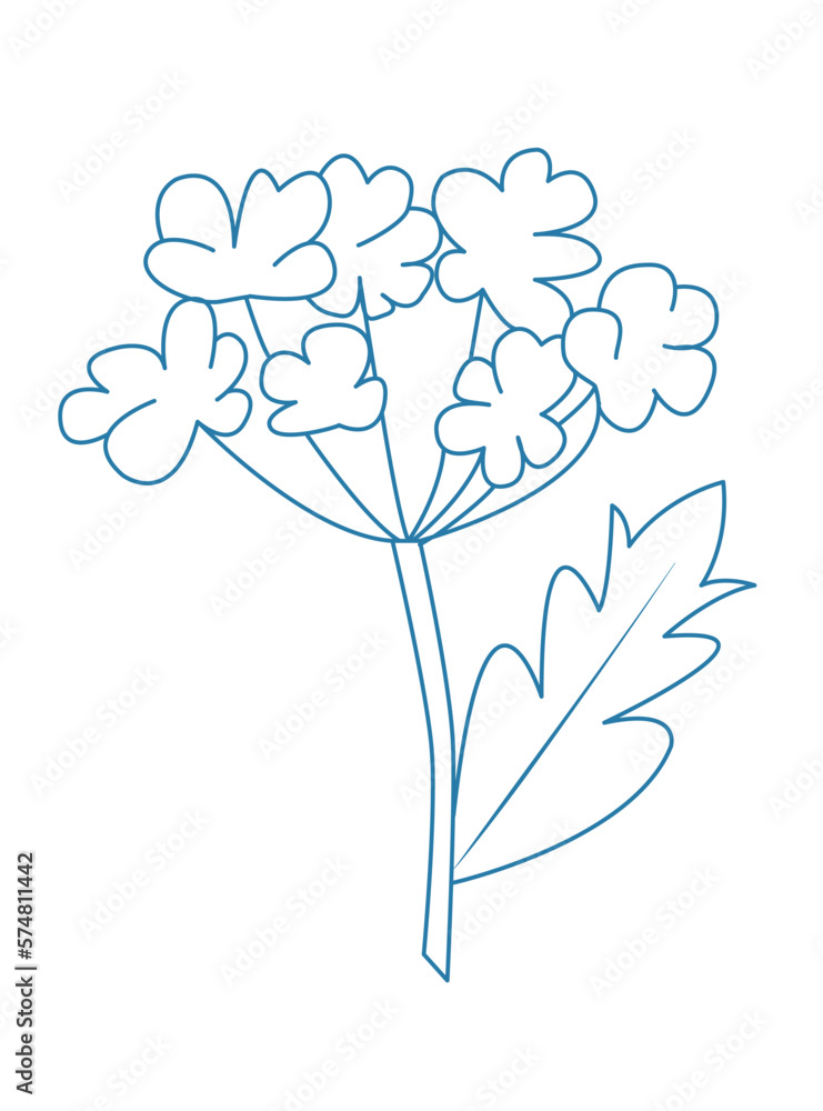 flover book illustration flover book illustration
