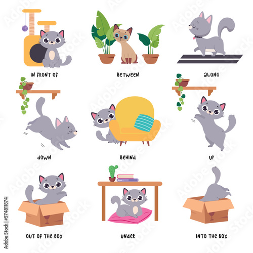 Cute Grey Cat Demonstrating Prepositions with Different Object Vector Set