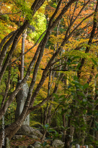 日本 愛知県豊田市足助町の香嵐渓の紅葉と石碑