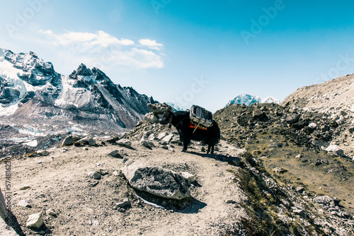 Hiking in the Himalayas