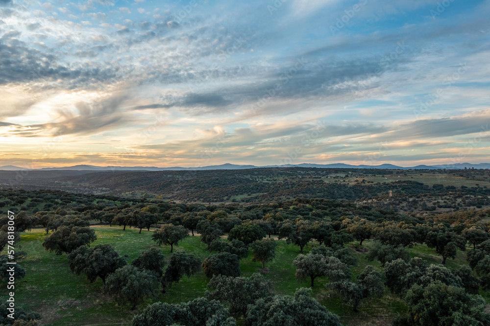 Aerial drone view of autumn landscape at sunset in northern Extremadura, Spain, with road, trees, plants and rocks.