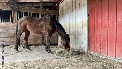 A brown horse eating hay on a stall mat in a shed with a stall in the background.