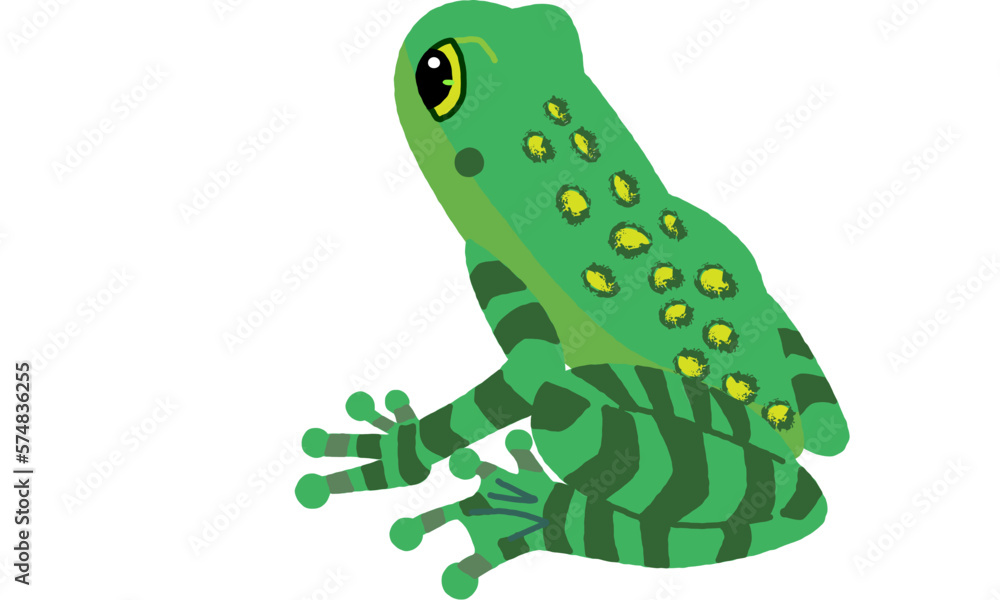 Naklejka premium 世界自然遺産の島の生き物 アマミイシカワガエルのソフト調