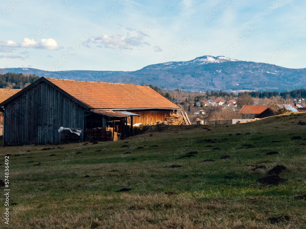 View on the rural part of the Zwiesel settlement in Bavaria, Germany at the early spring