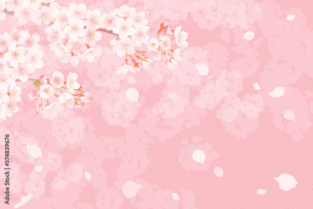 満開の桜と桜吹雪のイラスト、春のイメージの背景素材