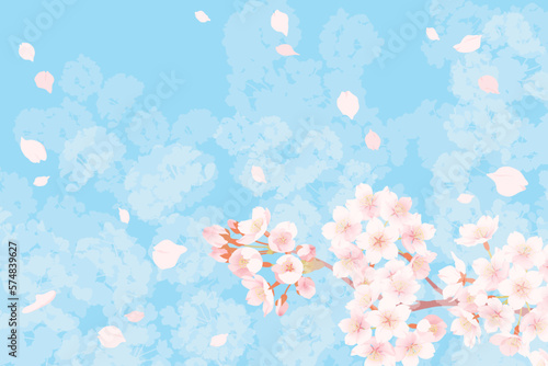 満開の桜と桜吹雪のイラスト、春のイメージの背景素材