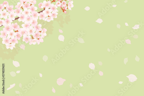 満開の桜と桜吹雪のイラスト、春のイメージの背景素材