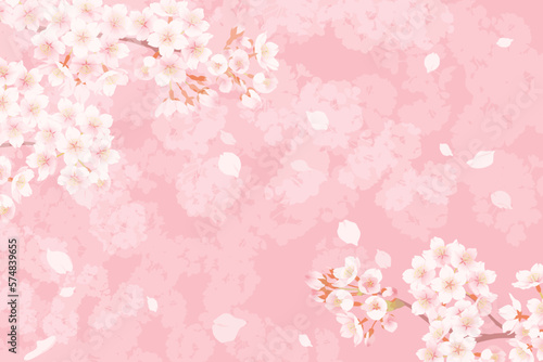 満開の桜と桜吹雪のイラスト、春のイメージの背景素材