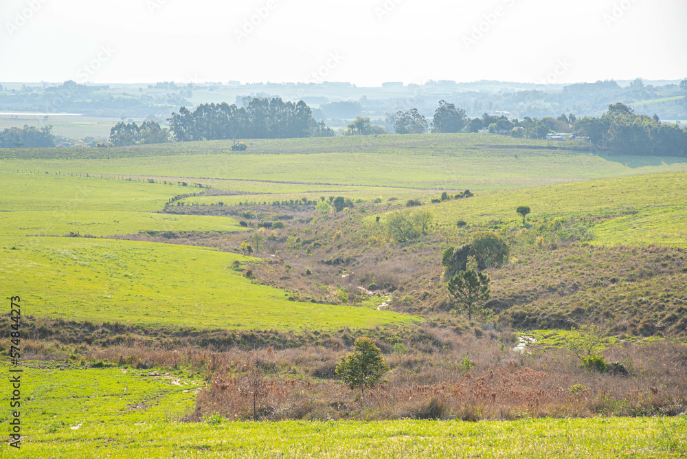 Area of farms in the campaign region of Rio Grande do Sul.