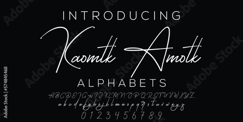 Signature Font Calligraphy Logotype Script Brush Font Type Font lettering handwritten