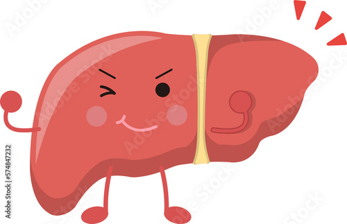 Liver mascot with inspirational and energetic expressions and actions