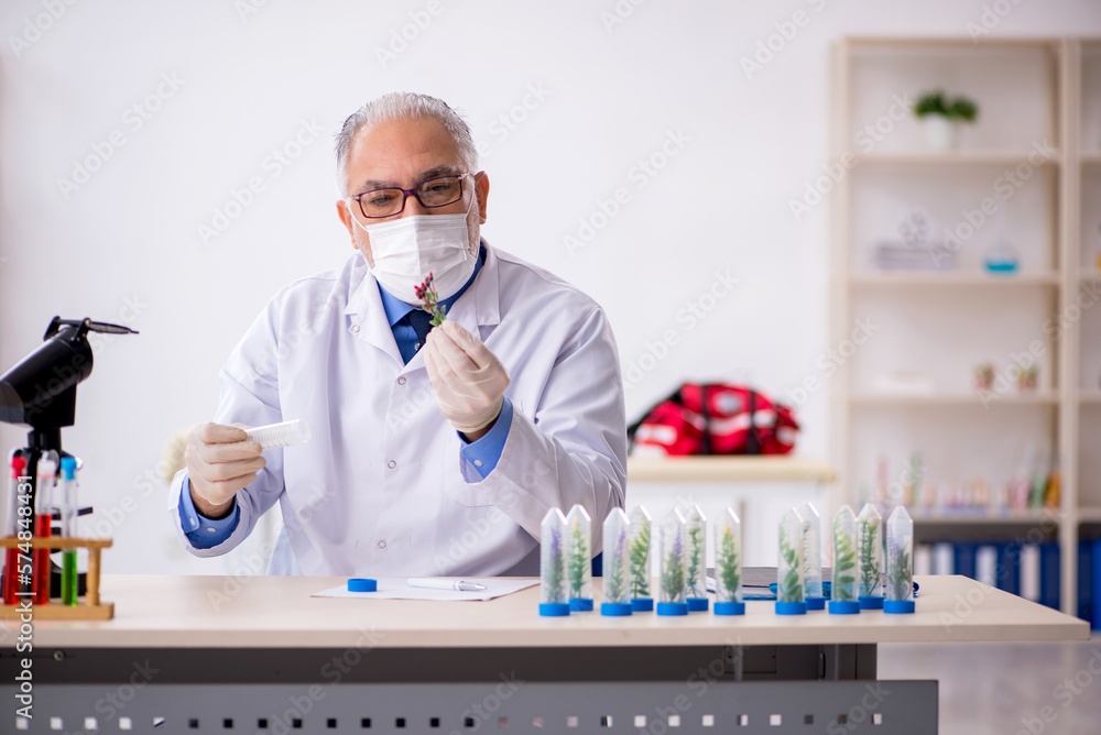 Old male chemist in drugs synthesis concept Old male chemist in drugs synthesis concept