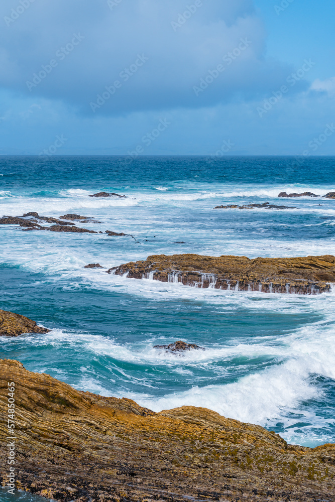 Views while hiking in Montana de Oro State Park. Some of those views are the rocky coastline, bluffs, birds, like seagulls and cormorants, breaking waves, pacific ocean, large trees, rolling hills Views while hiking in Montana de Oro State Park. Some of those views are the rocky coastline, bluffs, birds, like seagulls and cormorants, breaking waves, pacific ocean, large trees, rolling hills