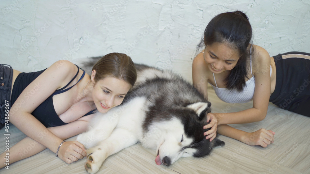 Portrait of caucasian woman and Asian girl playing with dogs or puppy together in cafe restaurant. Pet animal. People lifestyle. Multi ethnic Portrait of caucasian woman and Asian girl playing with dogs or puppy together in cafe restaurant. Pet animal. People lifestyle. Multi ethnic