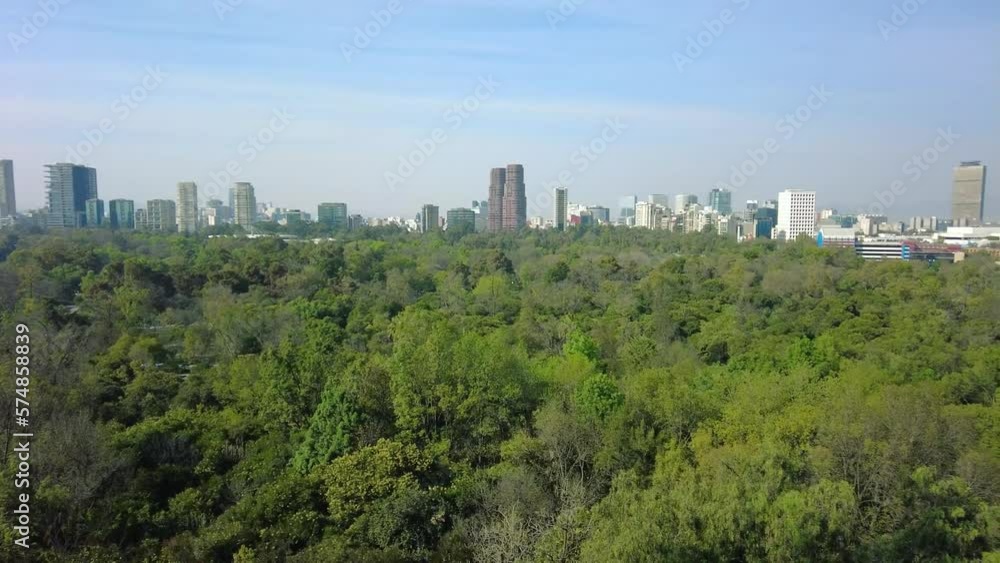 Discover the perfect harmony between nature and civilization, a lush forest and a majestic city of CDMX on the horizon. Discover the perfect harmony between nature and civilization, a lush forest and a majestic city of CDMX on the horizon.