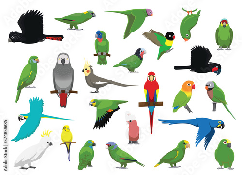 Animal Green Parrots Cockatoos Characters Cartoon Vector