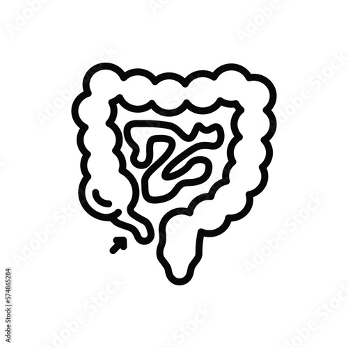 Black line icon for appendix