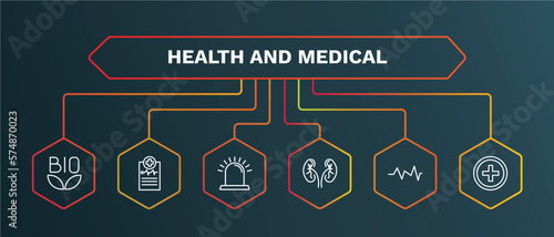 set of health and medical white thin line icons. health and medical outline icons with infographic template. linear icons such as medical report, emergency, urology, pulse, injury vector.