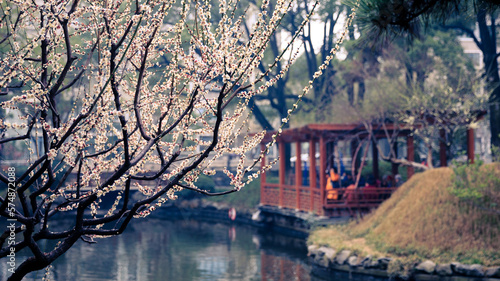 Wallpaper Mural plum blossom Torontodigital.ca