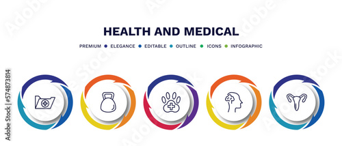 set of health and medical thin line icons. health and medical outline icons with infographic template. linear icons such as records, dumbbell, veterinary, neurology, gynecology vector.