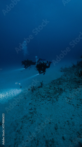 two divers doing night dive