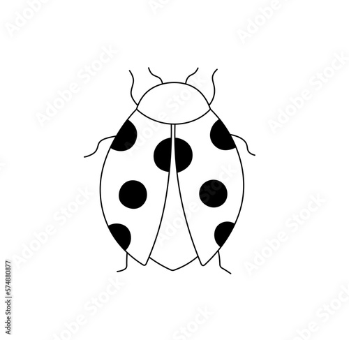 Vector isolated one single simplest symmetrical ladybug ladybird bug beetle with black spots colorless black and white contour line easy drawing