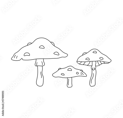 Vector isolated three amanita muscaria fly agaric mushroom set colorless black and white contour line easy drawing
