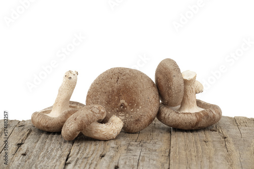 Shiitake mushrooms isolated on white background