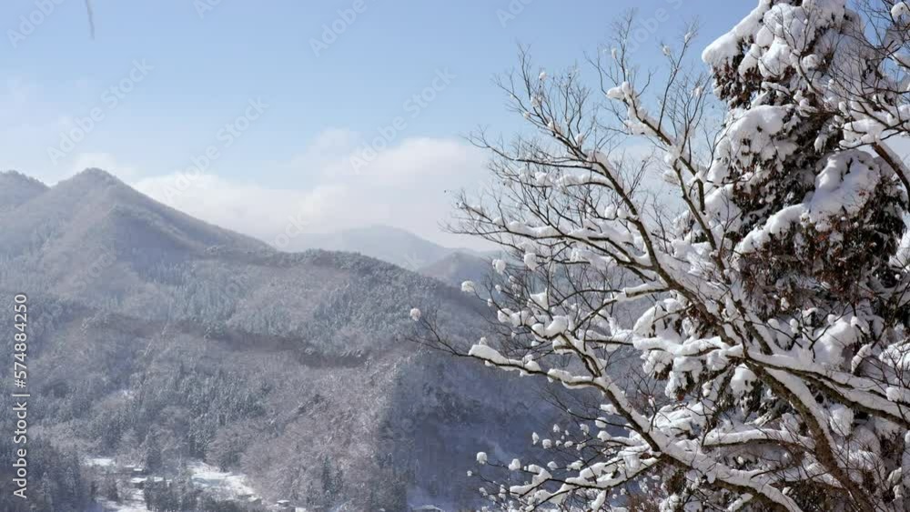 4K Tree branch covered in snow with high angle view landscape of beautiful scenic nature with small village between pine tree forest and mountain range with blue sky in winter season backgrounds. 4K Tree branch covered in snow with high angle view landscape of beautiful scenic nature with small village between pine tree forest and mountain range with blue sky in winter season backgrounds.
