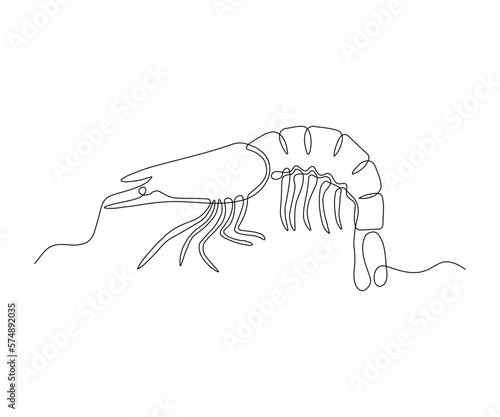 shrimp  Continuous One Line Drawing