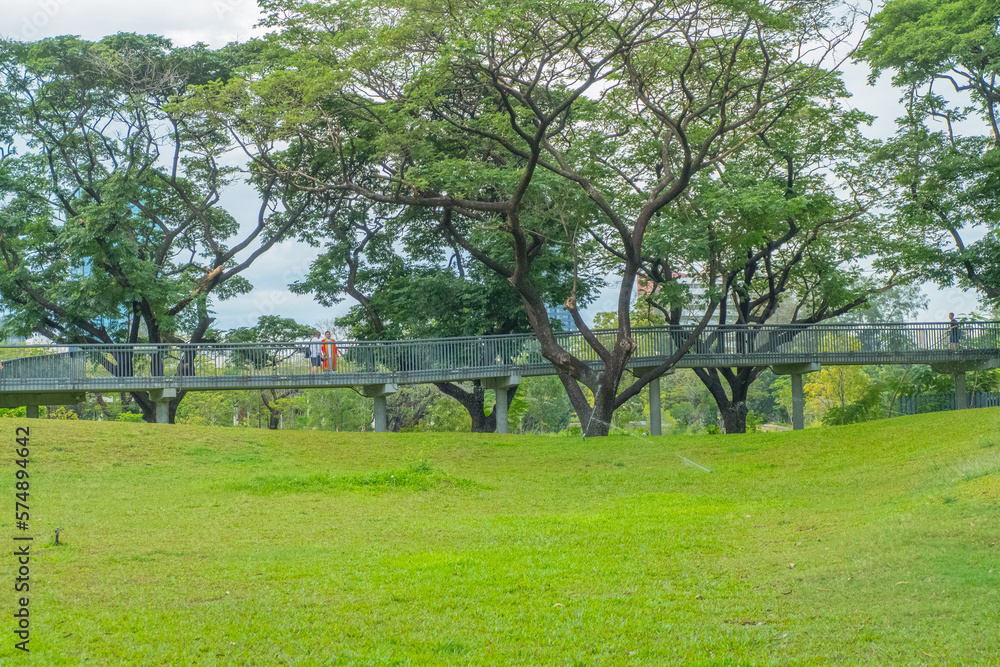 Cityscape view of Benjakitti Park with trees and skywalk, New beautiful garden in the city center.