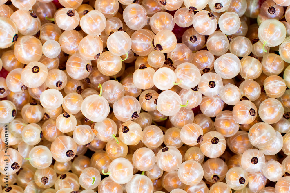 White currant  background. Fresh round berries of ripe currants