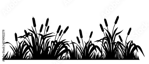 reeds grass silhouette © shop