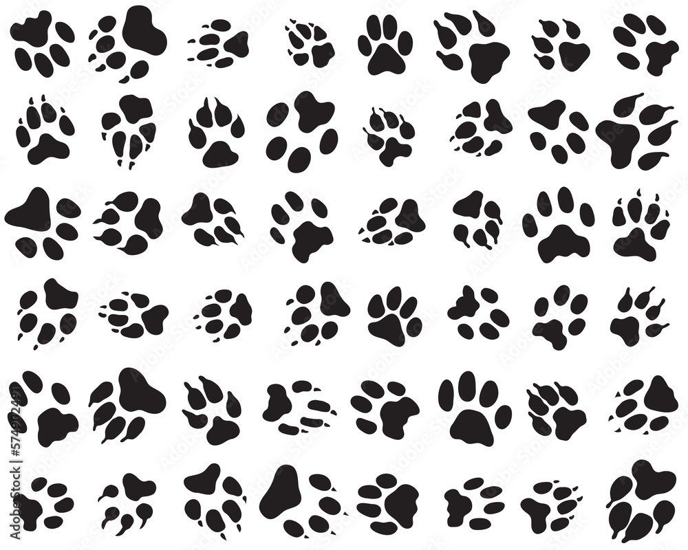 Fototapeta premium Seamless pattern of print of dogs paws on a white background