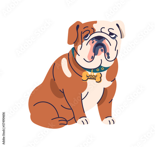 Cute dog of English bulldog breed. Funny chunky doggy, canine animal portrait. Purebred puppy in collar. Adorable chubby bully pup. Colored flat vector illustration isolated on white background