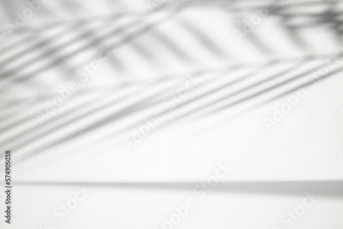 Shadow of tropical palm leaves on a white background. Black and white image.