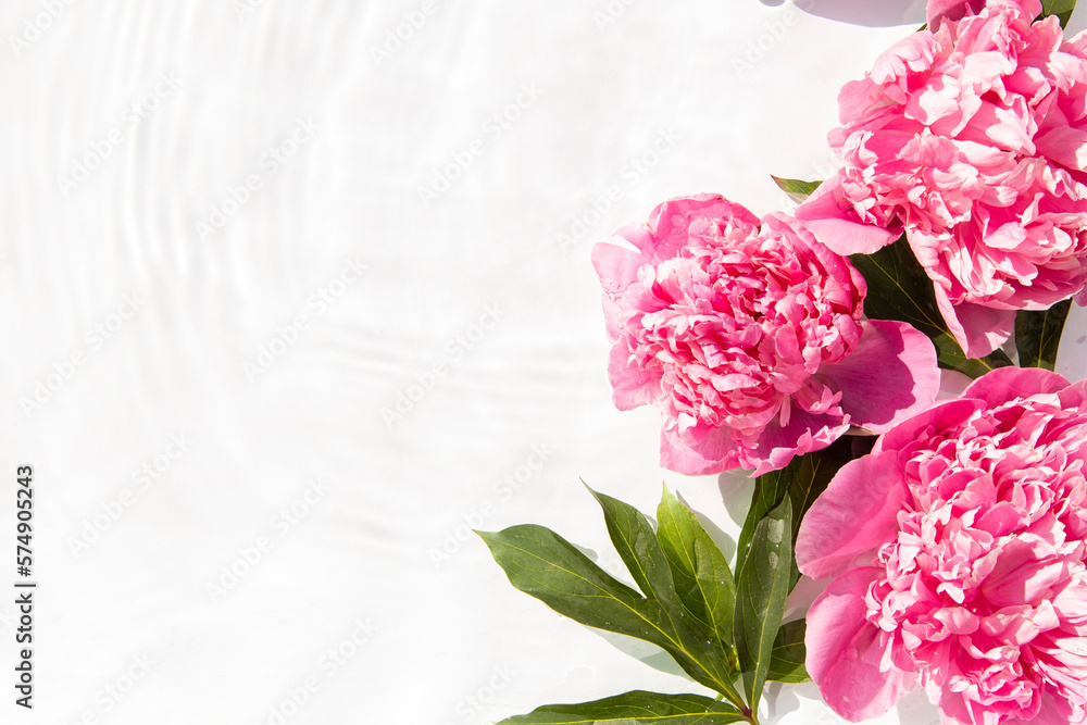 Flowers pink peonies floating on the water. Top view, flat lay