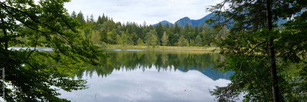 Schwansee, Füssen, Allgäu, Bayern, Deutschland, Europa