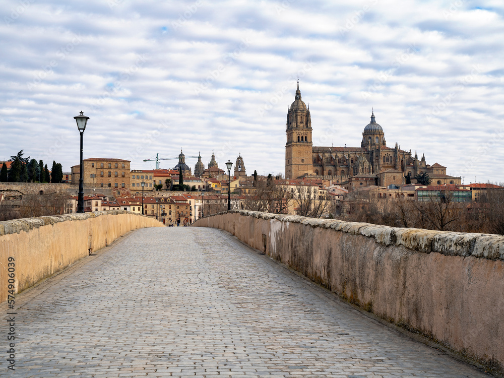 vista de la catedral de Salamanca al otro lado del rio Tormes.