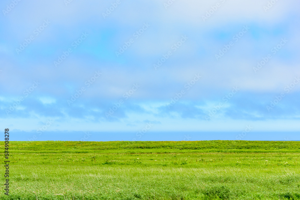 Fototapeta premium 北海道ベニヤ原生花園 