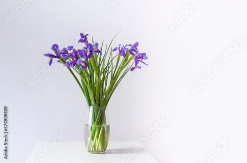 Purple iris flower on white background