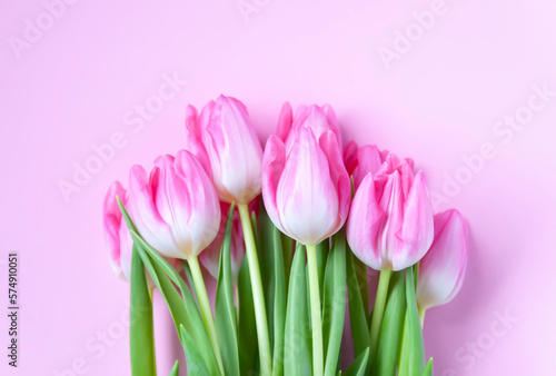 Fototapeta Naklejka Na Ścianę i Meble -  Pink tulip flowers. Beautiful spring floral composition.